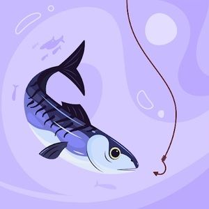 Meet your Posher, Jhonal